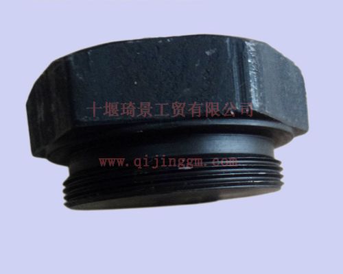 放水塞206256_HQ环球体育HQ环球体育/cumminsKTA19-C525系列发动机配件