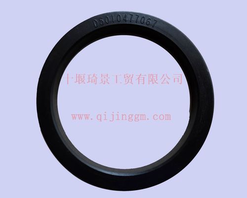 水泵密封垫 D5010477067 雷诺发动机配件 HQ环球体育发动机配件 HQ环球体育天龙配件