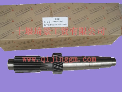 中间轴1700LQ32-048_HQ环球体育变速箱配件