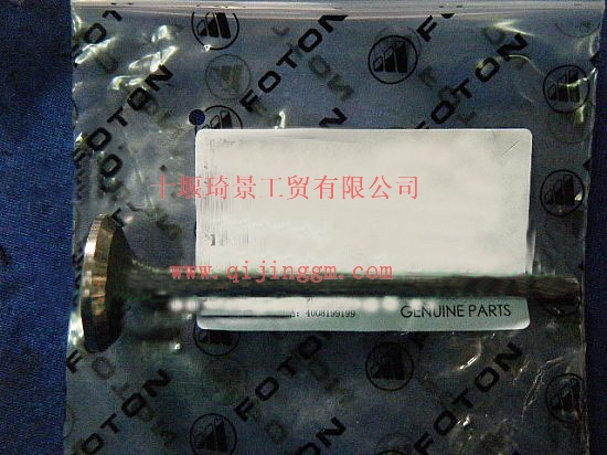 ISF2.8/3.8配件排气门5256949_HQ环球体育HQ环球体育/cumminsISF发动机配件