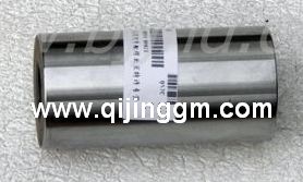 HQ环球体育天锦配件,4H发动机配件,HQ环球体育4H活塞销,10BF11-04021