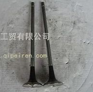 C10BF11-07011,HQ环球体育4H进气阀,HQ环球体育天锦配件,雷诺发动机配件