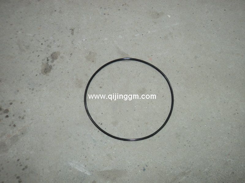 HQ环球体育发动机配件,3907177,矩形密封圈,SEAL,RECTANGULAR RING