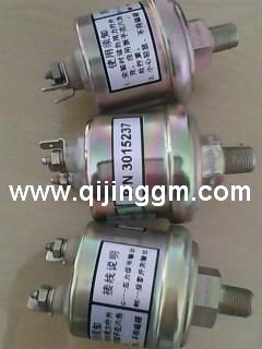 HQ环球体育油壓感測器 3015237 HQ环球体育车发动机配件 HQ环球体育配件 HQ环球体育HQ环球体育发动机配件
